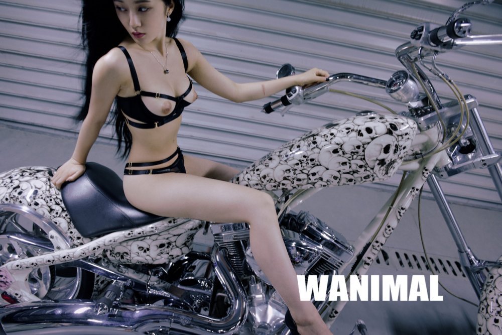 WANIMAL之滾燙的回憶二十[40P]