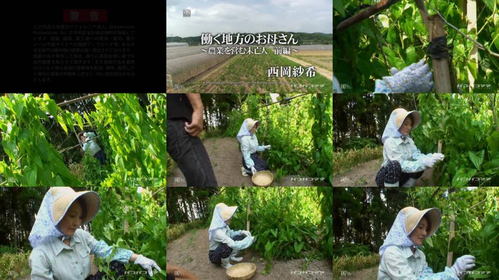 [JAV] [Uncensored] Paco 112610_248 働く地方のお母さん 〜農業を営む未亡人　前編〜 [720p]