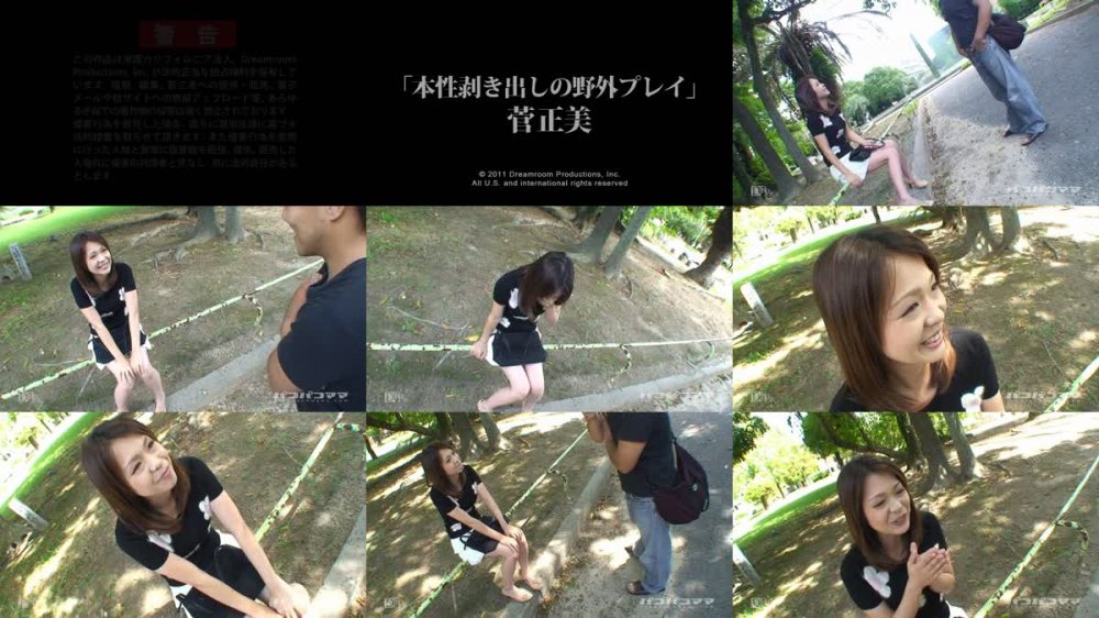 [JAV] [Uncensored] Paco 042911_358 本性剥き出しの野外プレイ [720p]