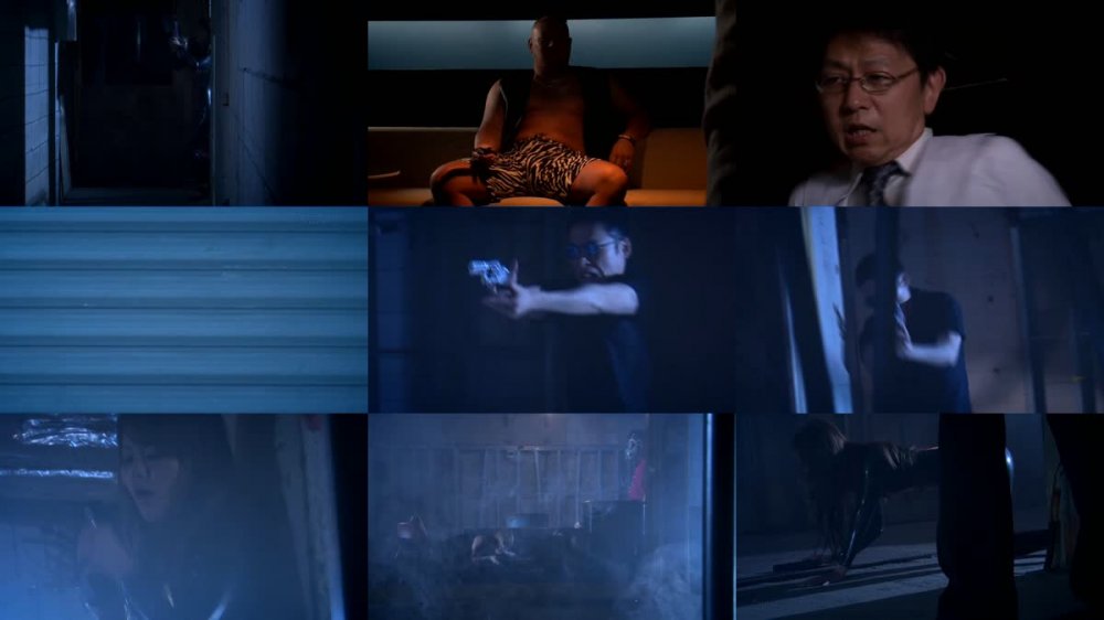 +++ [HD Uncensored] IPZ-042 秘密女捜査官～淫罠に堕ちた美人エージェント～ 丘咲エミリ