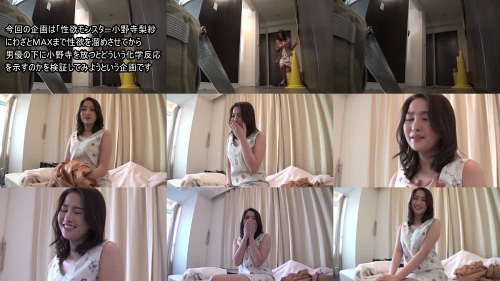 [JAV] [Uncensored] 1Pondo 123020_001 一本道 123020_001 小野寺梨紗 ～小野寺梨紗 スペシャル版～ [1080p]