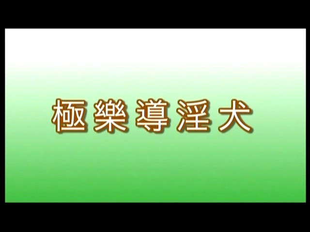 香港懷舊A片系列 極樂導淫犬 真槍實彈 絕版收藏