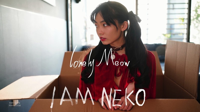 P站網紅頻道『LonelyMeow』你的聖誕禮物請查收-高清4P