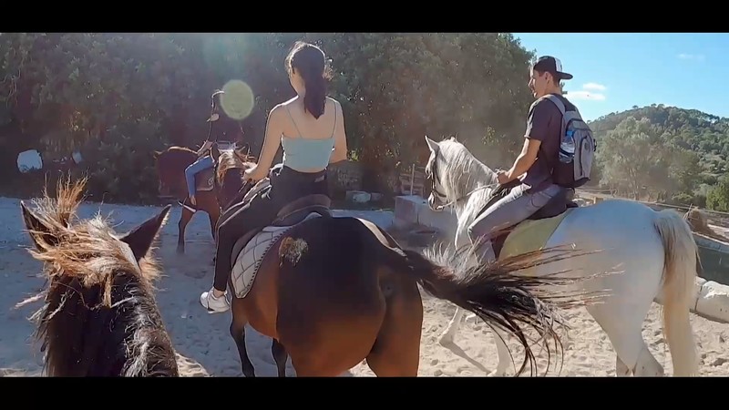 淫蕩留學生與外國男友環球旅行-一路操-白天騎馬來了性欲裡面回去在騎大雞巴