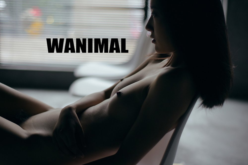 [精典回顧]王動WANIMAL作品集-045 [100P]