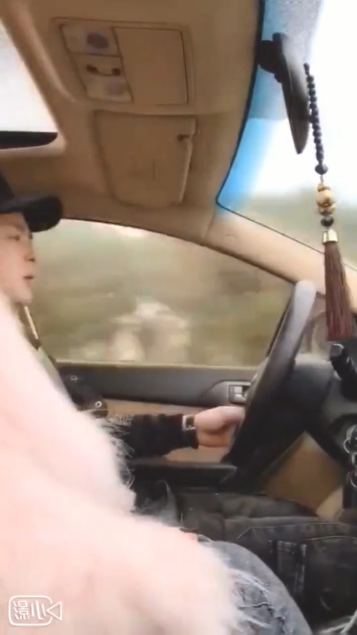 開著車被美女吃著雞 這樣開車是不是不會犯困啊 前面七百米有違章拍照