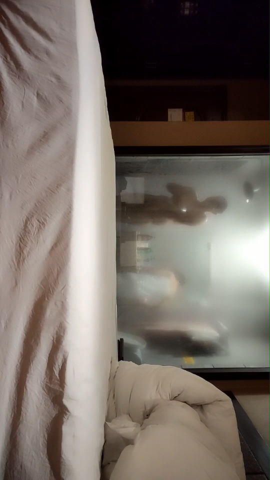 快樂三人行，北京換妻圈資深單男，約人妻酒店鐘點房再續前緣，激情四射擼管佳作