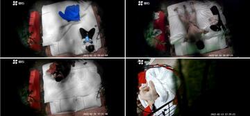 《2022螢石雲洩密㊙️偸情系列》真實欣賞幾對出軌男女開房啪啪淫聲浪語激情四射中年老闆把小情人肏尿了對白有趣