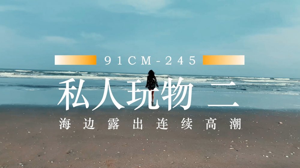 【果凍傳媒】91CM-245 私人玩物 第二集 海邊露出連續高潮