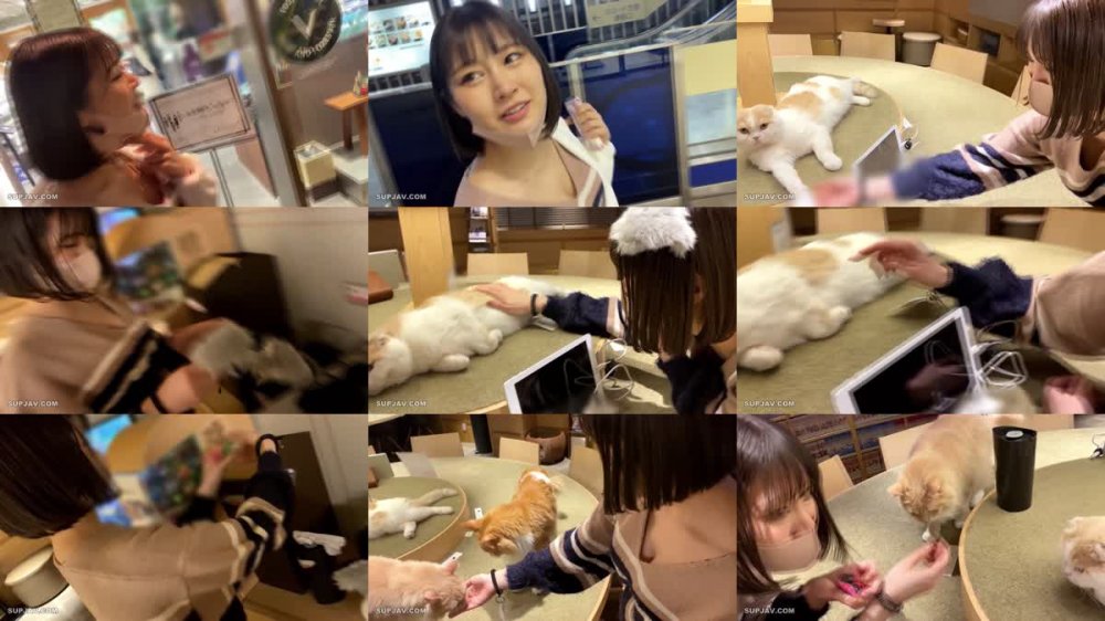 +++ FC2-PPV-2903411 ※ボクの子猫で抜いてください★激きゃわ★Eカップ美巨乳JD（２１）とほろ酔いエッチ★腰振りまくりの腟内連続射精