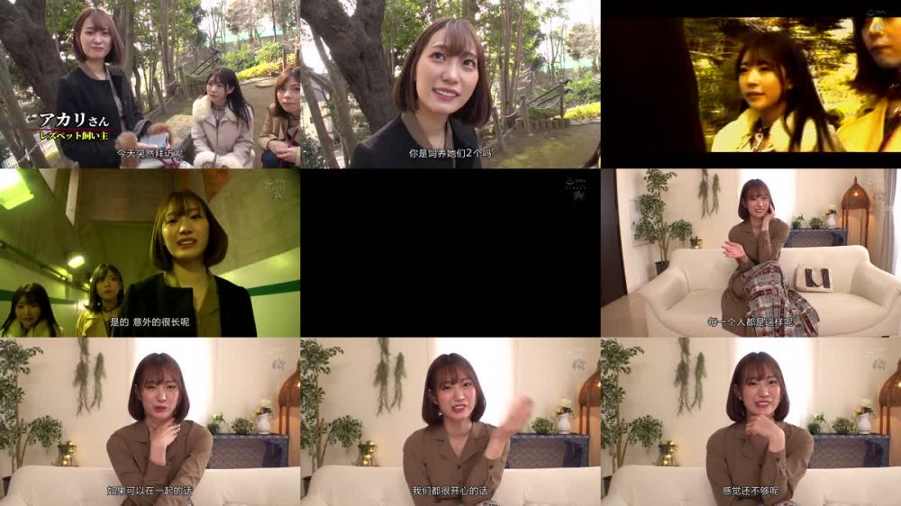 +++ [FHDC] DASS-012 私に飼われてみない？ 実録。レズペットを飼う絶世の美女 美谷朱里 岬あずさ 皆月ひかる