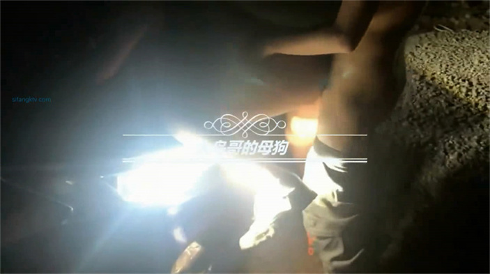 推特大神『大鳥哥的母狗』極品絲襪人妻啪啪調教 綁在椅子上操 車震內射 各種玩法爽不盡