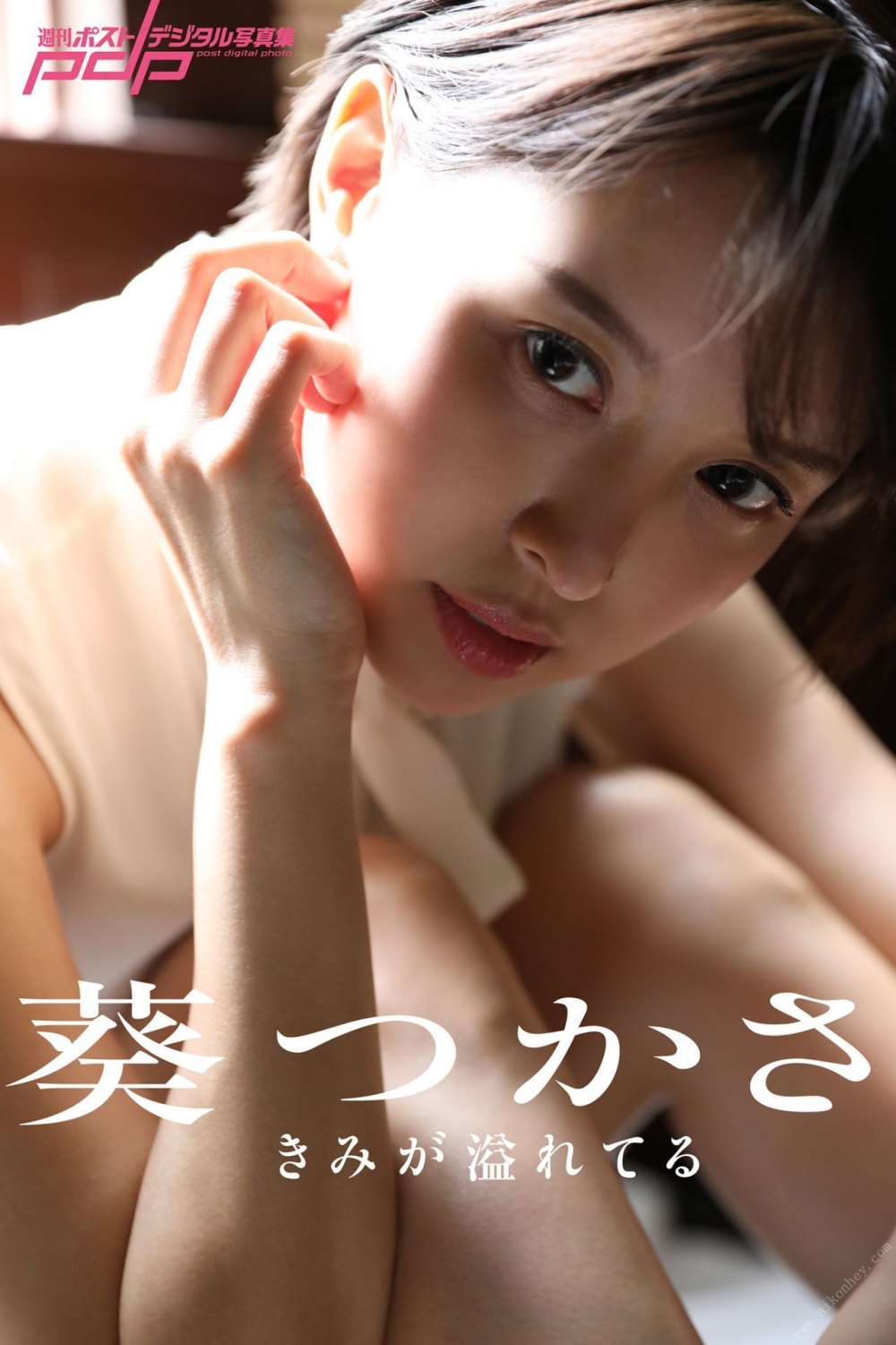 Tsukasa Aoi 葵司 - きみが溢れてる [94P]