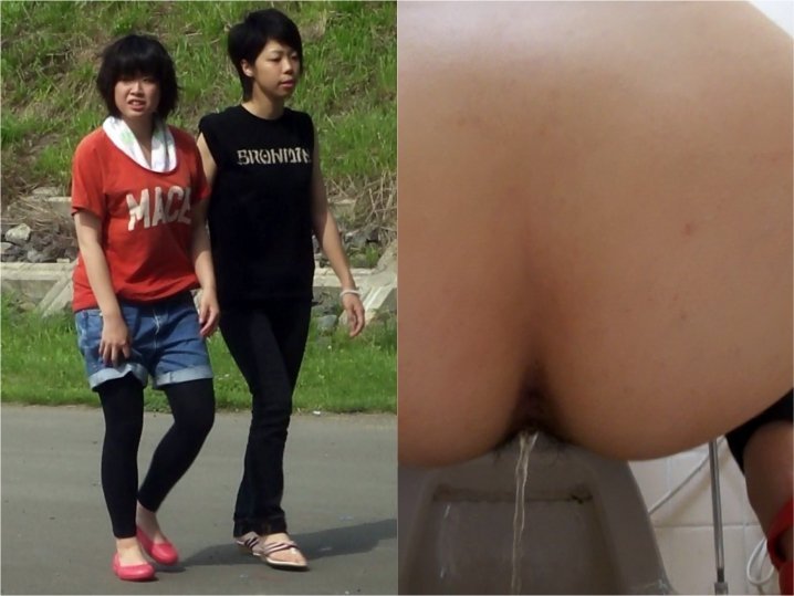 hdhuoshiwc08 【高画質】和式手撮盜撮8