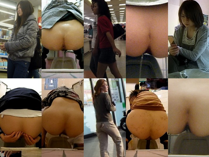 28103883 Japanese toilet style.No111