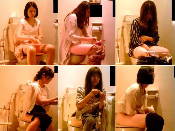トイレ浪漫映射傑作選【全身くまなく編・普通の女の子特集（1）】