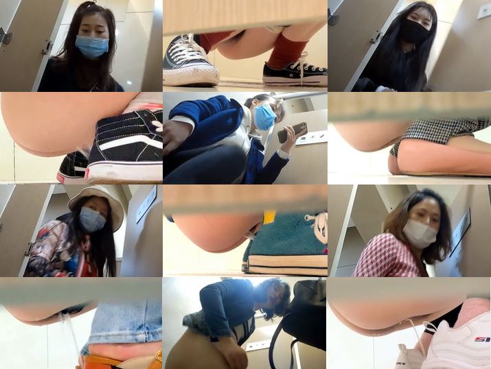 Shopping Mall Womens Toilet