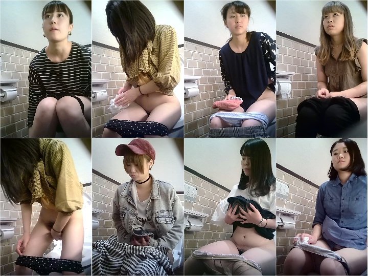 プレミアム美盜トイレ vol.5 waremeも具もバッチリ捕らえています 全7名収録
