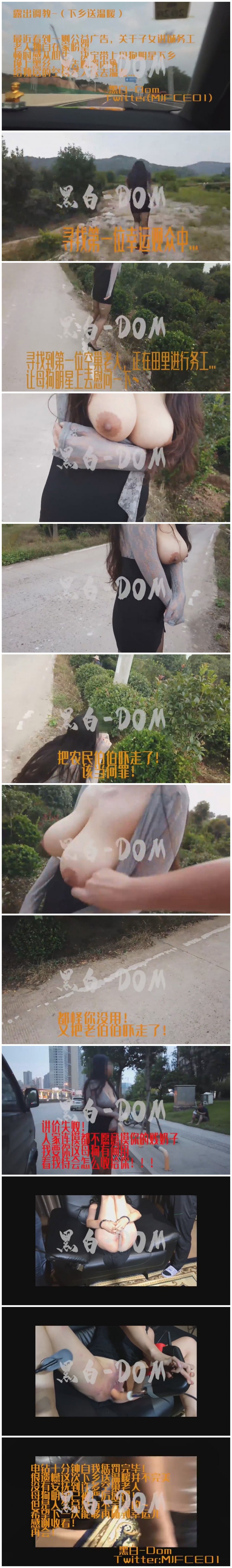 推特大神黑白-DOM高品質出品 帶著母狗露出一對胸器下鄉調教送溫暖 失敗回來抽B電動鑽懲