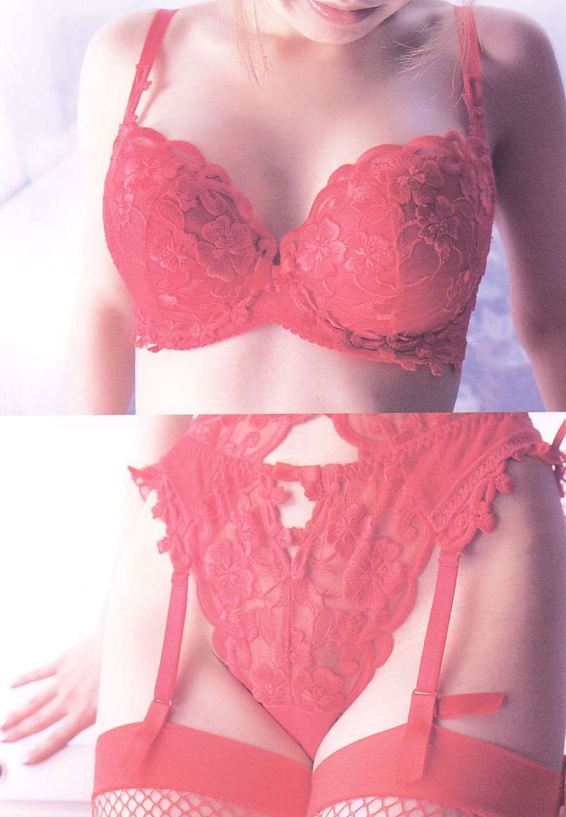 艷紅姐蕾絲花邊最美的胸罩 [22P]