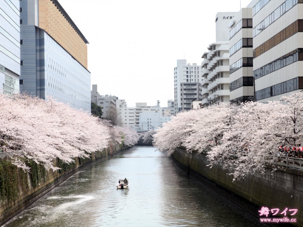 Shizuka Shimohira[30P]