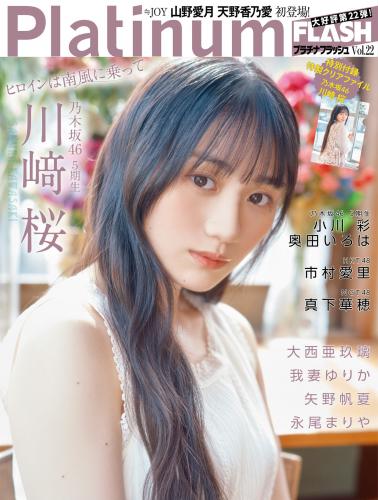 Platinum Flash 2023.04 Vol. 22