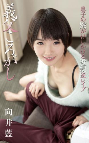 [Photobook] Ai Mukai 向井藍 – Father-in-law roll 義父ころがし (2016-09-14)