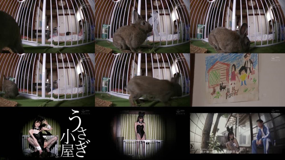 +++ [FHD] DFE-073 うさぎ小屋 本田もも