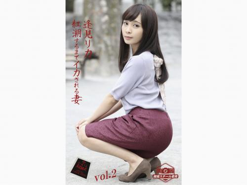 [Photobook] 紅潮するまでイカされる妻 逢見リカ vol.2 (ながえSTYLE)