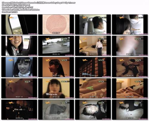 [Minisuka.tv] Tomoe Yamanaka 山中知恵 Dream Gallery Stage1 1 Clip 1.1