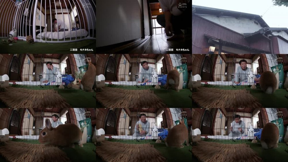 +++ [FHD] DFE-079 うさぎ小屋 百仁花