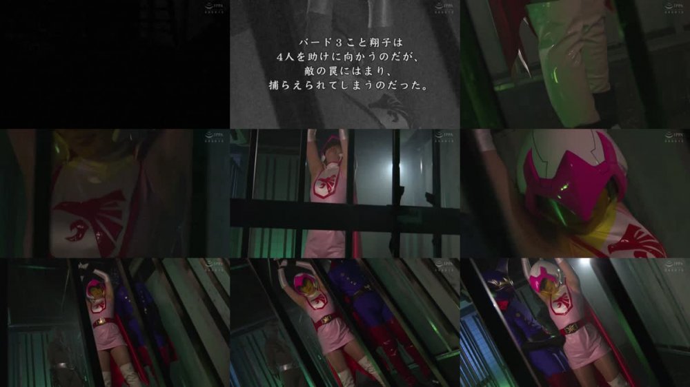 +++ DHRY-28 同人ヒロイン27 バードファイター バード3 角名つむぎ