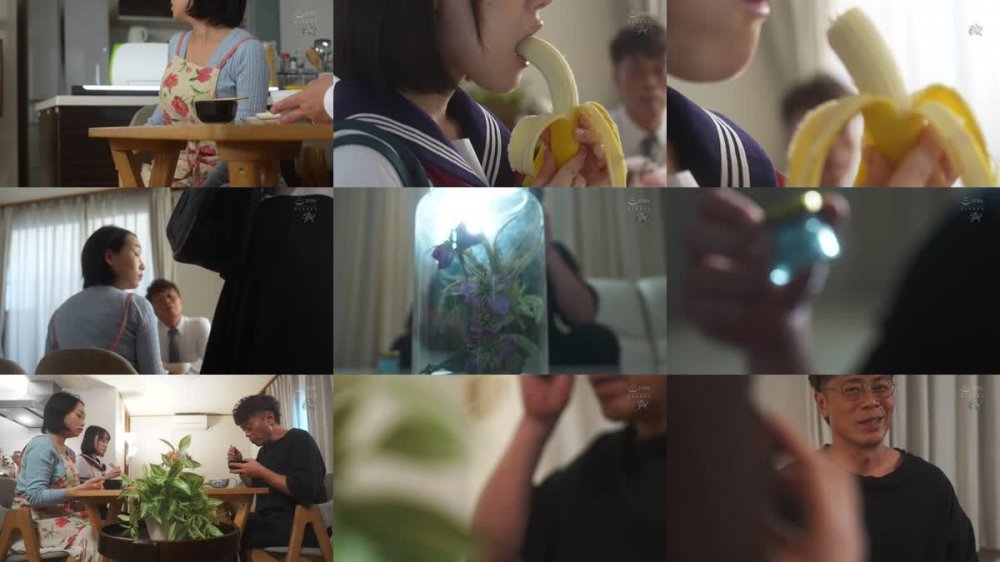 +++ [FHD] DASS-394 男嫌いなスレンダー美乳の連れ子に媚薬を●ませて一週間。子宮が疼き、理性を失った娘は、嫌がりながらも俺の巨根を求めるようになった。 白石もも