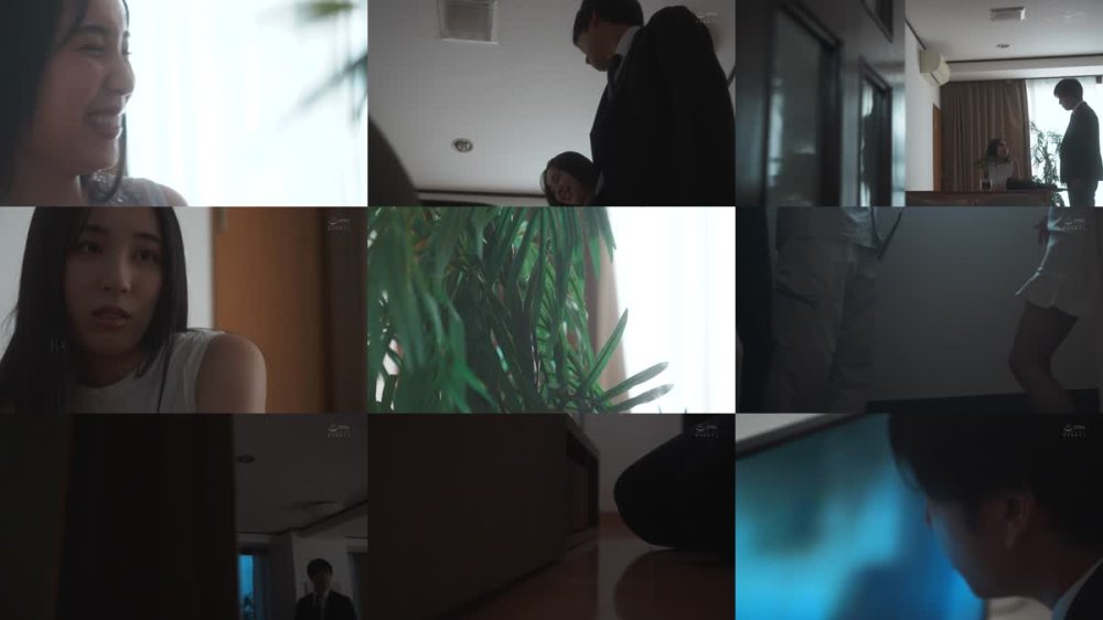 +++ [FHD] APNS-368 今、失踪した愛しき妻の輪●レ●プ映像がDVDで送りつけられて来た… 悲劇の寝取られ中出し懐妊 淫乱に堕ちチ●ポ中毒となった巨乳妻 藤原真帆