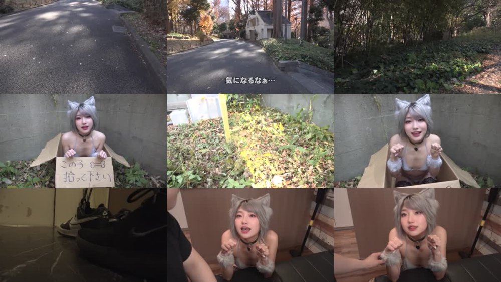 +++ [FHD] AIAV-025 【AI同人】道で拾ったケモ耳従順ペットは発情期【3.1次元】