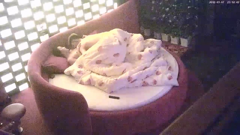 3-8經典酒店偷拍 社會青年豔福不淺，風騷浪女任意草，激烈戰場