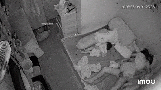 饑渴少婦半夜挑逗老公坐他頭舔逼上位騎屌