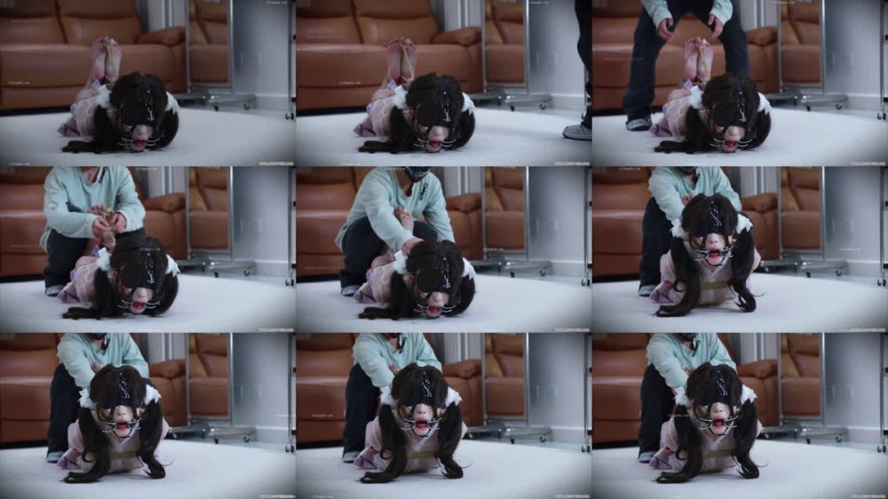 ⚫️ 新品福利，女奴母狗訓練工作室【貝特Better】雙馬尾極品美少女花式調教強制足交