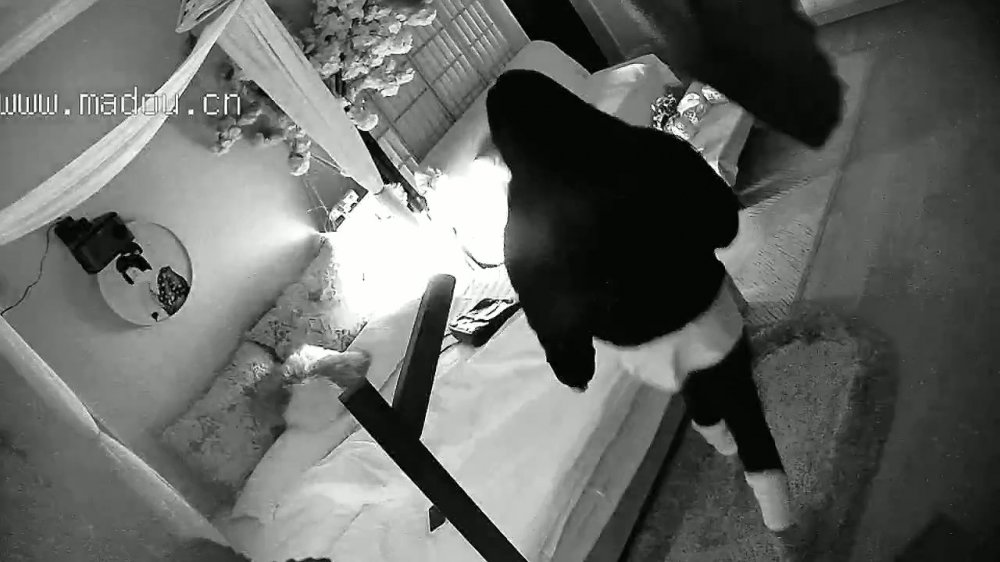 美女被按在沙發上親吻摸胸插入后變淫娃