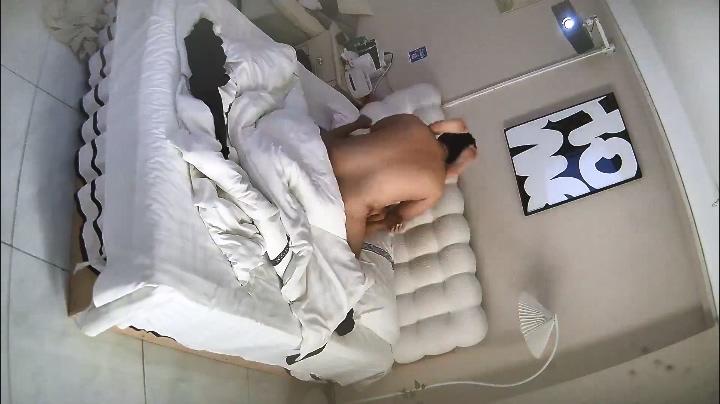 2025-11-23酒店偷拍 戴口罩的長衫女被胖哥撲倒后翻來覆去打樁操