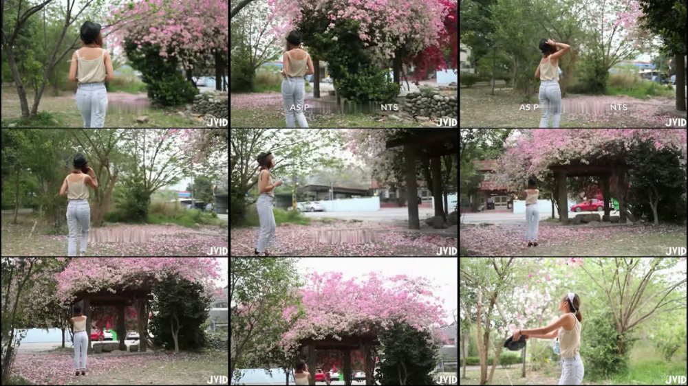 酸貓妹妹 在藝術與色情之間運用身體作畫的女孩