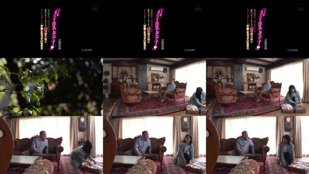 +++ [FHD] CJOD-490 「ご主人様…フェラだけなら浮気じゃないですよ」妻が旅行中、いつでもどこでも即尺バキュームフェラで13発搾り抜くチンしゃぶメイドと不倫しちゃっているボク。 北岡果林