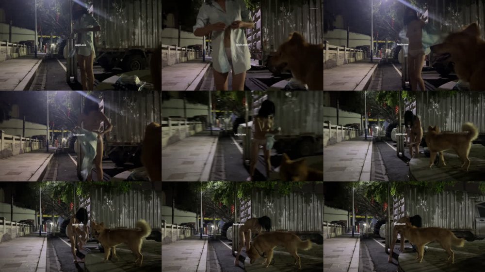 2025年12月最新，人氣露出女神，【cikaimoon】，深夜帶著狗狗出門，大街上脫光光