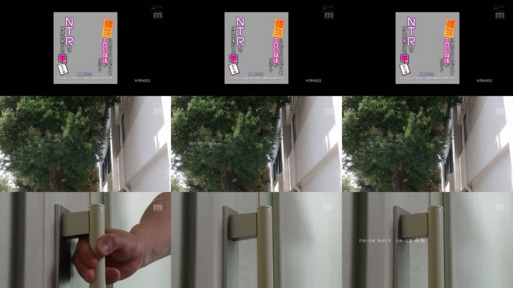 +++ [FHD] NTRH-003 サークルCior×MOODYZ専属’九野ひなの’豪華コラボ！ 強気に文句を言いながらもエロい身体が反応してNTRれる保健医実習生の本。実写版