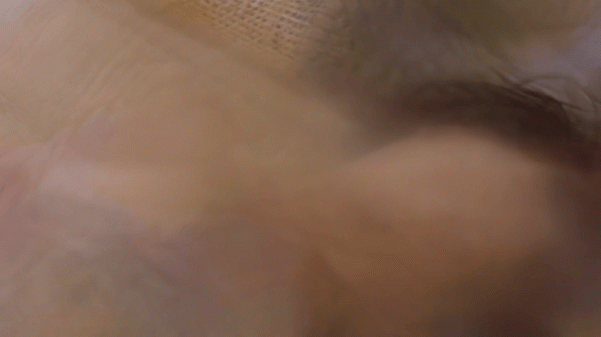 【AI換臉】張敏-滅門慘案II借種