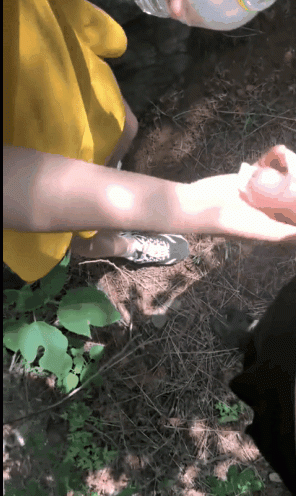 《家庭亂倫》小姑的調教之路帶著小姑去爬山順便在沒人的地方打個野戰