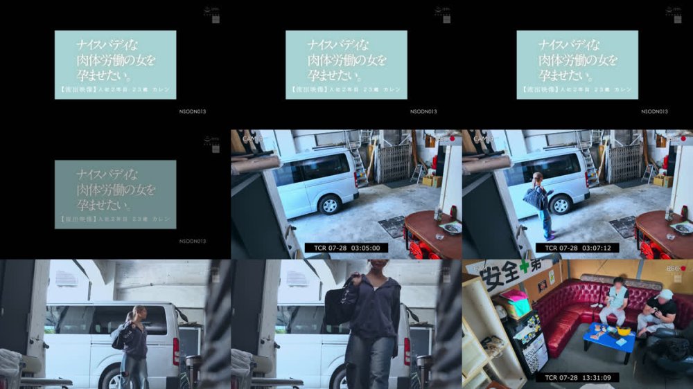 +++ [FHD] NSODN-013 ナイスバディな肉体労働の女を孕ませたい。 【流出映像】入社2年目 23歳 カレン