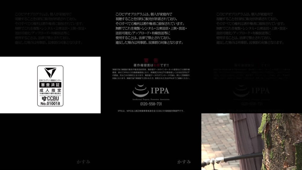 +++ [FHD] HNHU-186 ポチった天使級キュートちゃんが3ヶ月溜めマンで即堕ち◆ 初エッチなのに無許可種付け→電マ痙攣→2発目中出しで完全メス化www