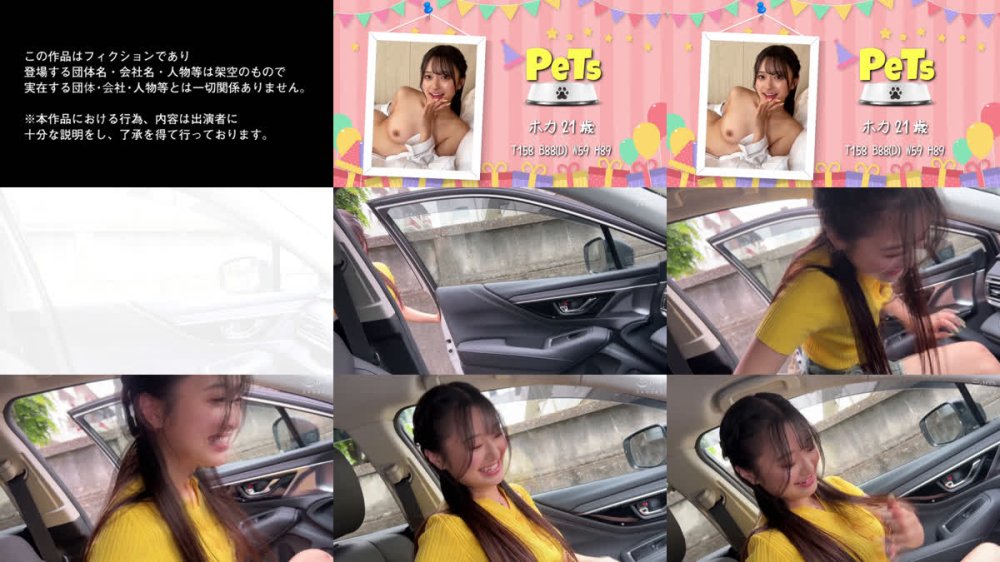 +++ [FHD] HPET-014 ホイホイペット 14 素人ホイホイ・ホイホイペット・個人撮影・素人・陽キャ・美少女・清楚・ドM・変態・くびれ・スレンダー・美乳・恥じらい・セフレ・野外・とびっこ・おもちゃ・ハメ撮り・中出し・ドキュメンタリー