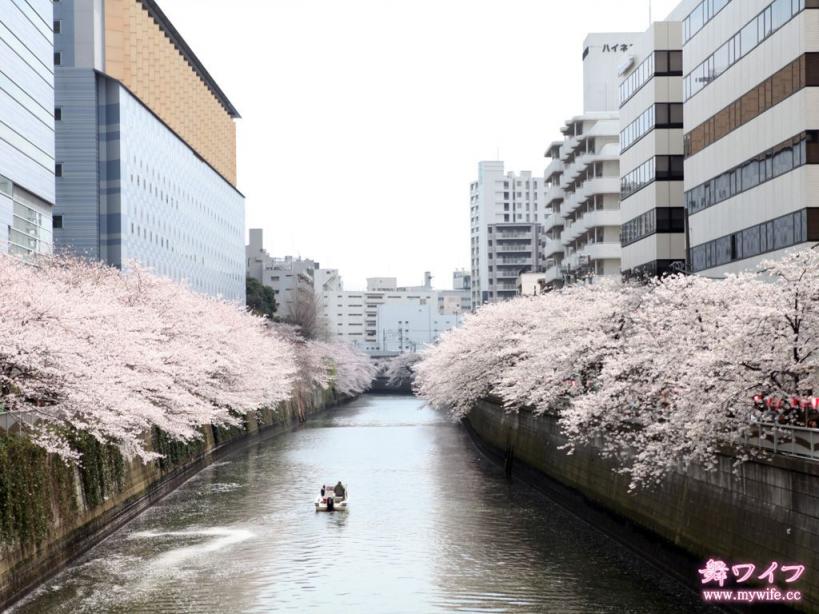 291 下平 靜香 Shizuka Shimohira 大沢のぞみ [25P]